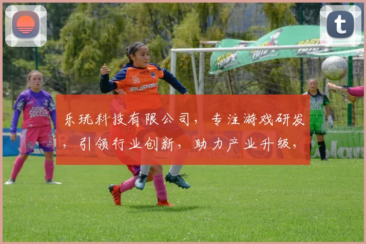 乐玩科技有限公司，专注游戏研发，引领行业创新，助力产业升级，三大优势助力未来。